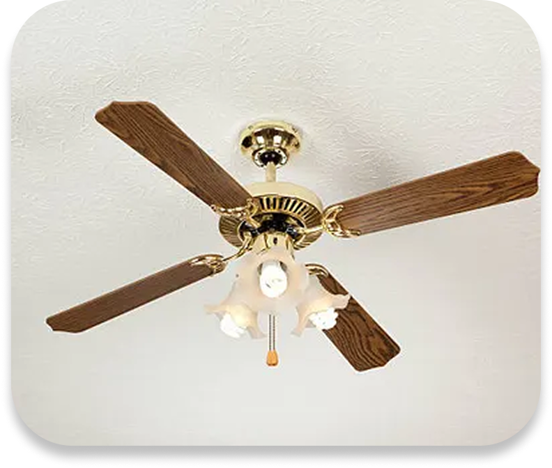 Fan