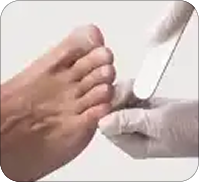 Switch Box
